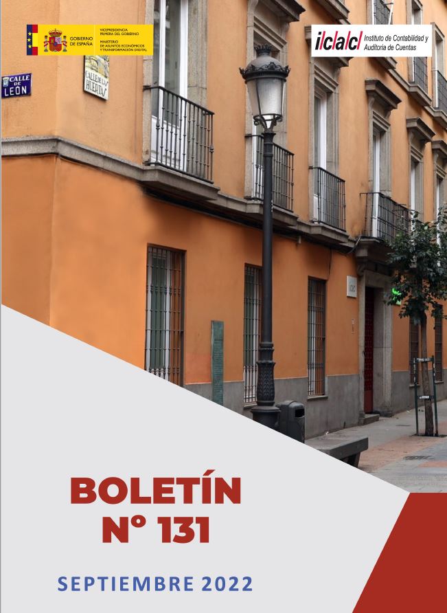 Nº 131 BOLETIN DEL INSTITUTO DE CONTABILIDAD Y AUDITORIA DE CUENTAS