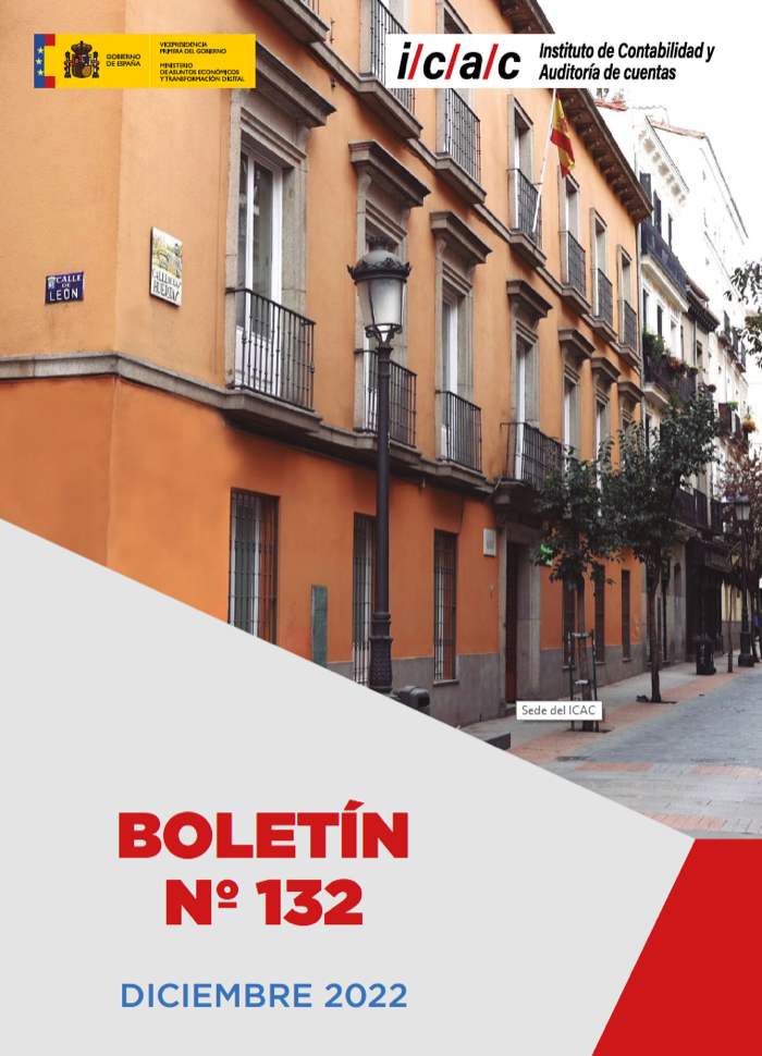 Nº 132 BOLETIN DEL INSTITUTO DE CONTABILIDAD Y AUDITORIA DE CUENTAS